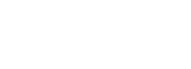 Air Ocean Import Logo